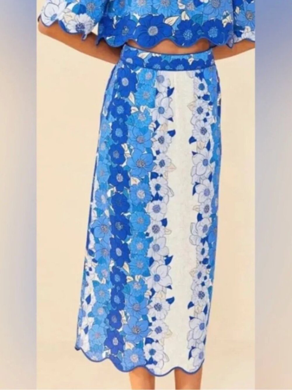Farm Rio Blue Flower Stripes Spring  Midi Skirt — M